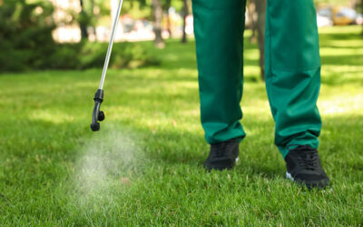 Enhancing Safety in Commercial Landscaping: 5 Benefits of Reno Artificial Turf