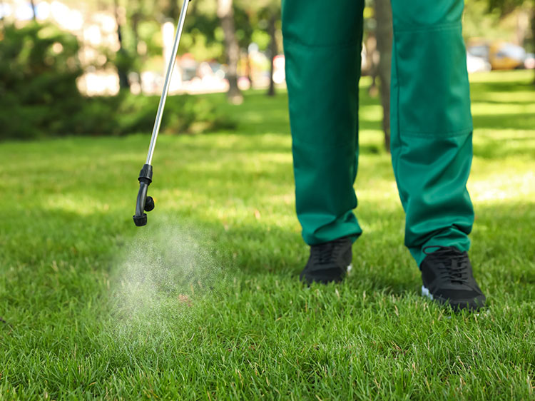 5 Perks of Reno Artificial Turf for Commercial Landscaping