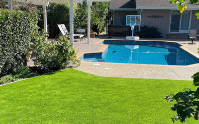 Artificial Turf in Modesto for Yard Amenities: Pros and Ideas