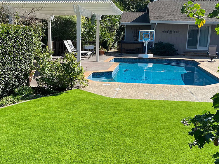 Artificial Turf in Modesto for Yard Amenities Pros and Ideas