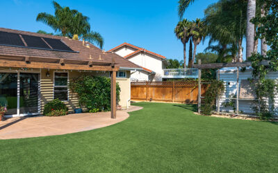 Boosting Curb Appeal: How Artificial Grass in Knoxville TN Can Enhance the Look of Your Home