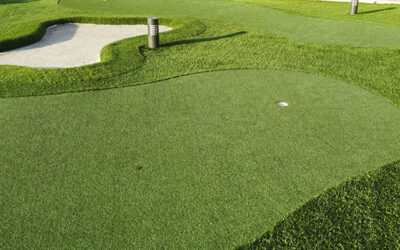 Eco-Friendly Solutions: Install Synthetic Grass in Seattle for Greener Putting Greens