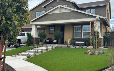 The Best Artificial Grass in San Antonio, TX: A Solution for Hard-to-Grow Areas