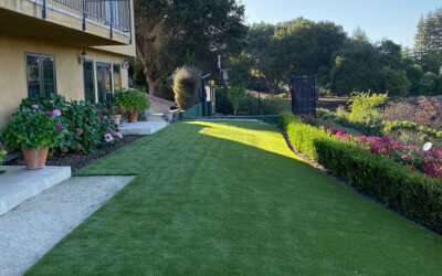 Residential Artificial Grass in Boise, Idaho for a Hassle-Free Yard Retreat