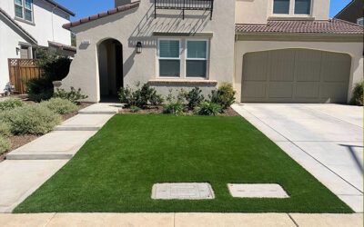 Embrace Tranquility: How Artificial Grass in Texas Dampens Noise in Urban Homes