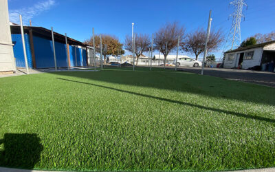 Synthetic Grass in NJ for Landscaping: Choosing The Right Pile Height And Texture