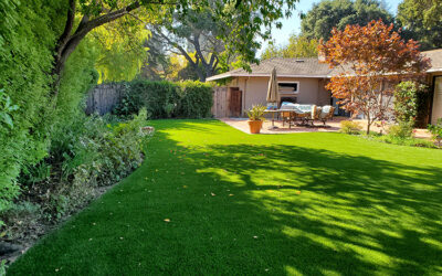 Compact Spaces, Green Solutions: Artificial Turf in Kansas City for Small Yards