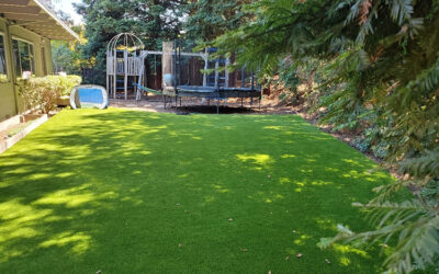 Lush Landscaping for Compact Spaces: A Guide to Synthetic Turf in Reno
