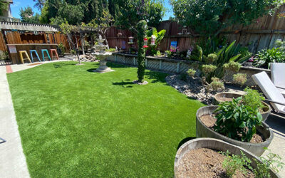 Artificial Grass Installation in Denver: Perks and Ideas for Your Urban Spaces