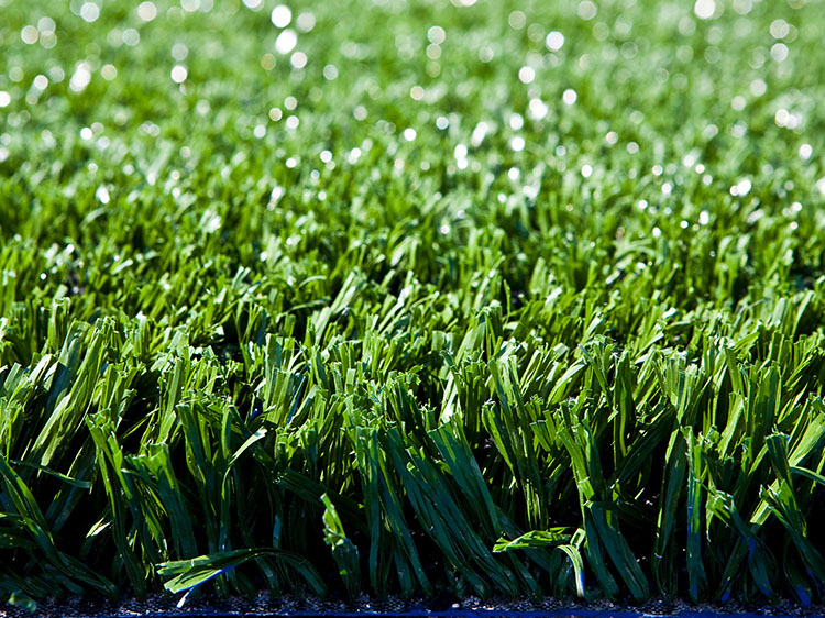 Artificial Grass Installation in Phoenix, AZ for Quieter Lawns
