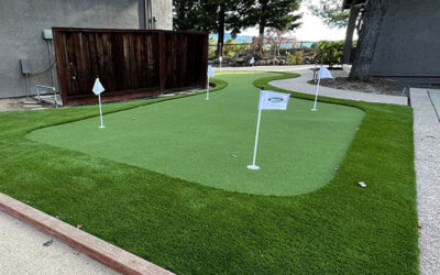 Putting Green Perk: The Unexpected ROI of Artificial Grass Installation in Virginia