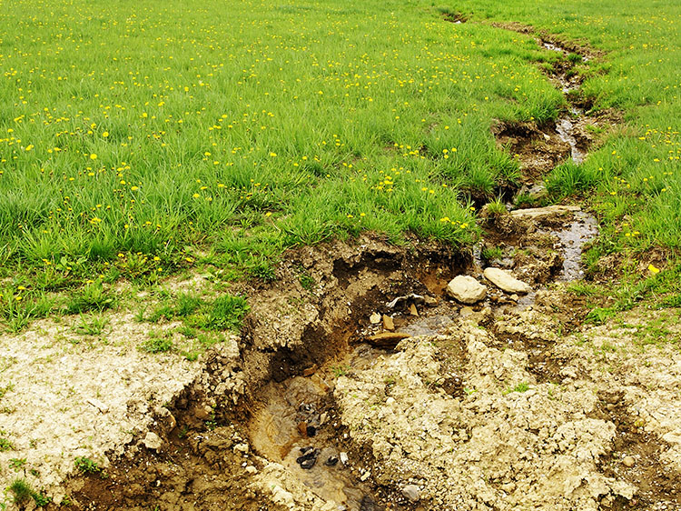 How Synthetic Turf Near Me Protects Your Yard Landscape