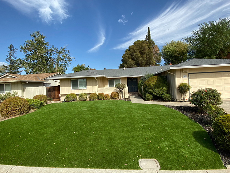 11 Tips for Yard Design