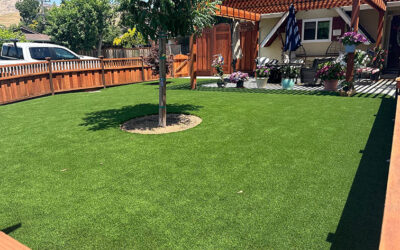 Get the Best Patio for Your Kids: 10 Perks of an Atlanta Grass Installation