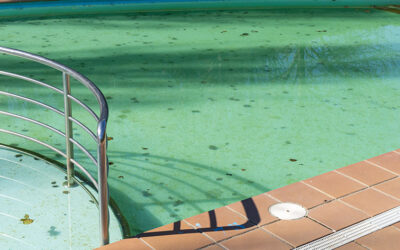 Can Artificial Turf in San Jose Help Keep the Pool Cleaner?