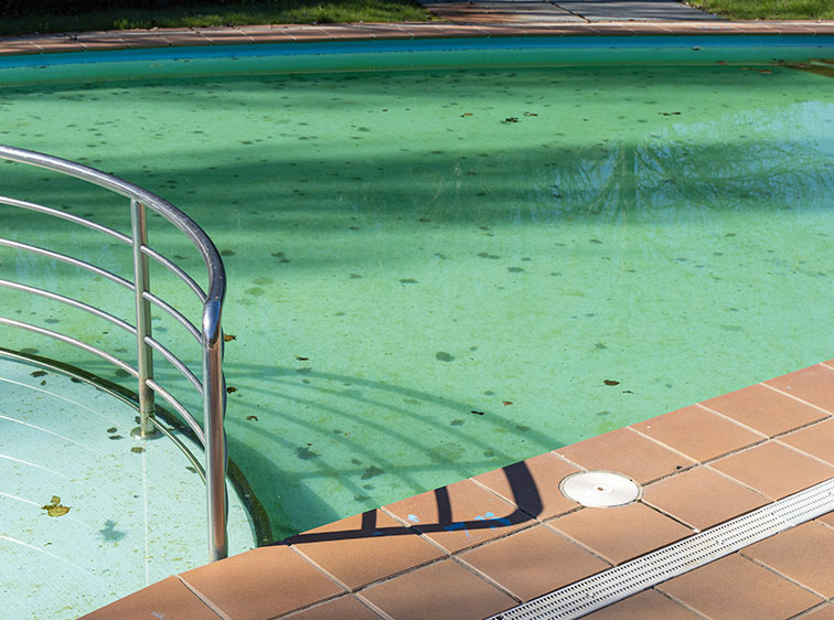 Can Artificial Turf in San Jose Help Keep the Pool Cleaner