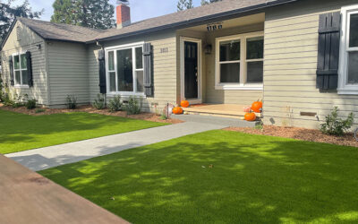 Scale Down Yard Stress with Artificial Turf