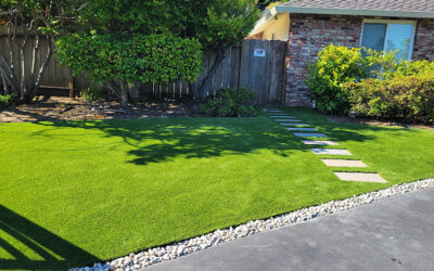 Beat the Heat: The Cooling Benefits of Synthetic Grass in Yards