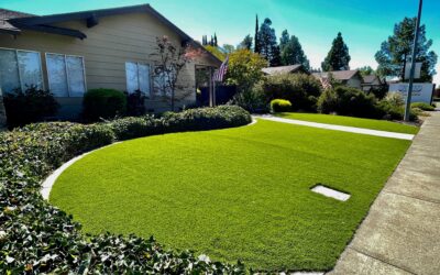 How to Create a Photo-Worthy Landscape with Artificial Grass