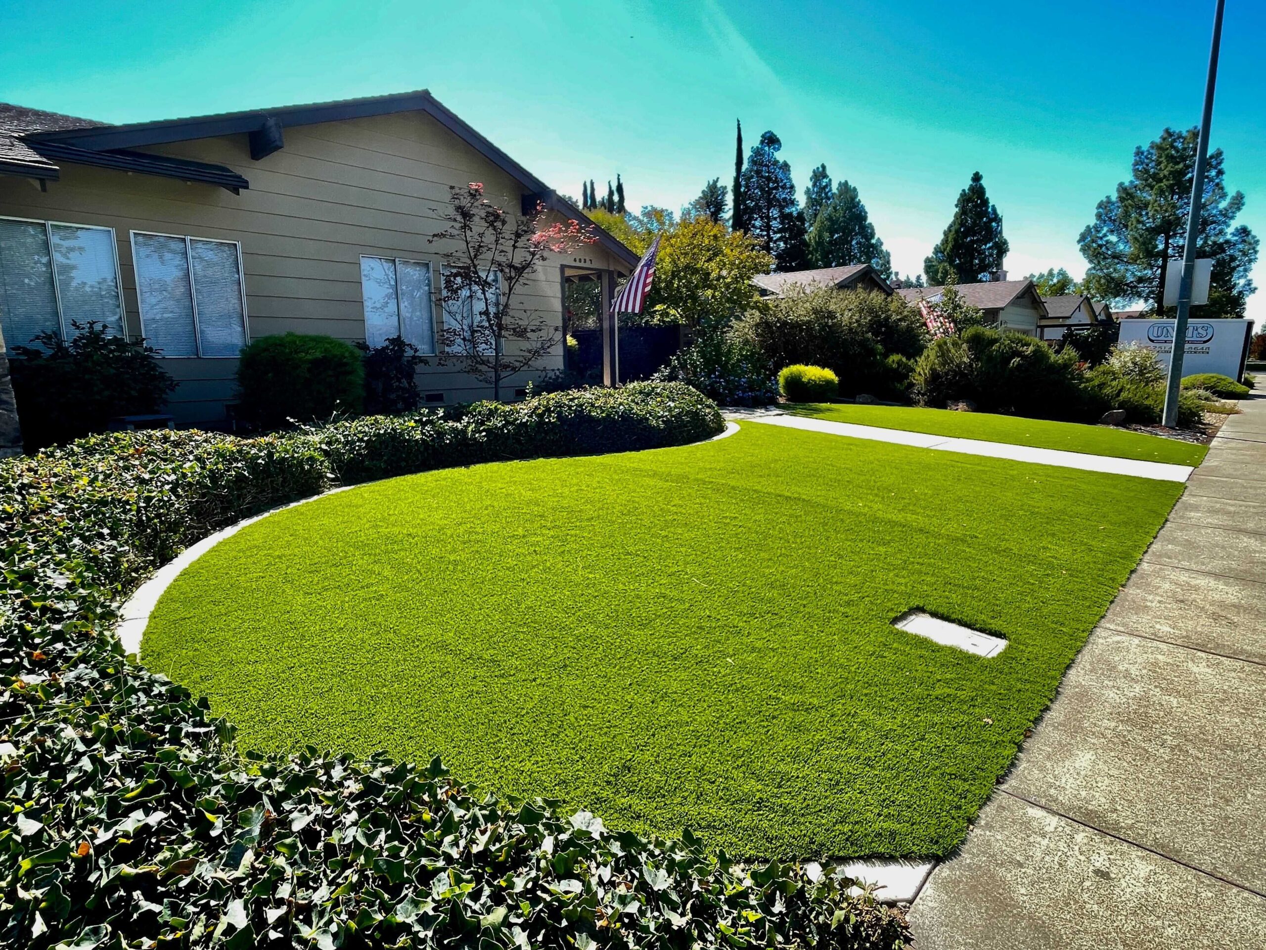 ig worthy landscape of artificial grass