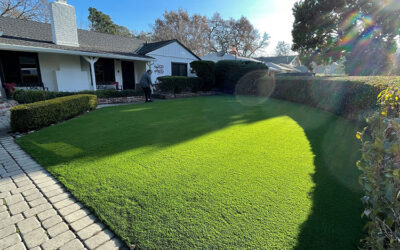 Choosing the Right Artificial Grass Color and Texture for Your Landscape