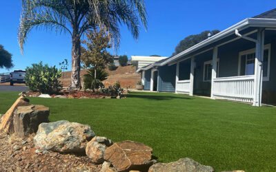 Heat Resistance of Artificial Grass: Tips for Hot Climates