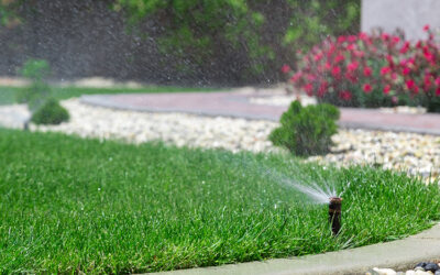 Sustainable Landscaping with Artificial Grass: Water Conservation Benefits