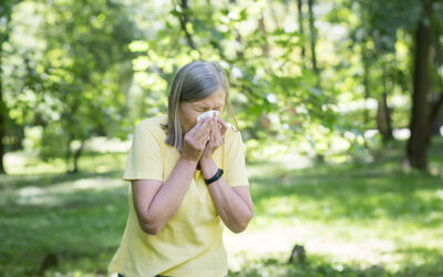 Artificial Grass and Allergies: Separating Fact from Fiction