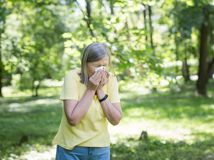 Artificial Grass and Allergies