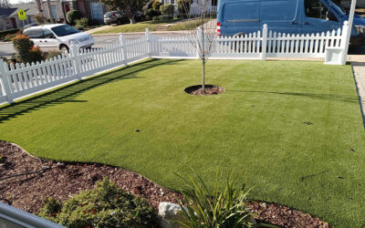 The Beginner’s Guide to Infill for Artificial Grass