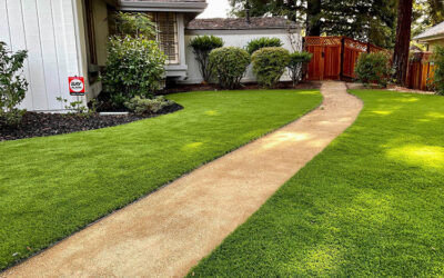 What Are the Best Edging Options for Your Artificial Grass Lawn?