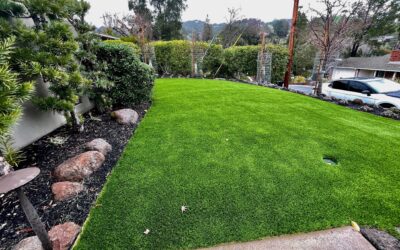 Why Replace Your Natural Lawn with Artificial Grass