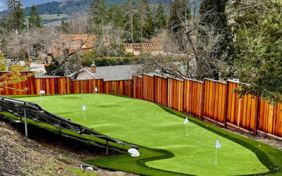 The Benefits of Having a Backyard Putting Green