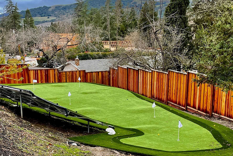 Backyard Putting Greens