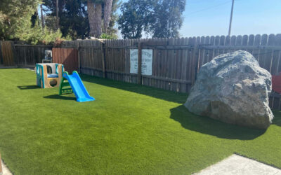 What to Look for in Safe Artificial Grass for Playgrounds