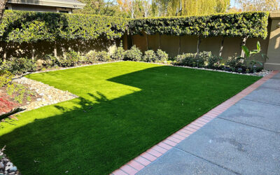 Creative Uses of Artificial Grass in Your Backyard