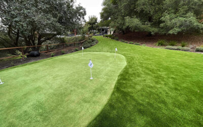 How Does Artificial Grass Compare to Natural Grass for Putting Greens?