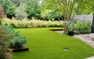 Artificial Grass Durability – Withstanding Heavy Traffic and Harsh Weather