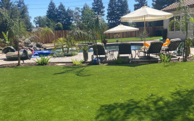 Enhancing Shade Structures with Beautiful, Functional Artificial Grass