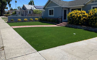 The Maintenance-Free Advantages of Having an Artificial Grass Front Lawn