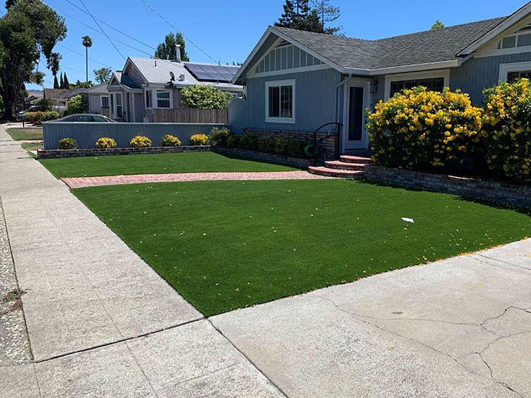 The Maintenance-Free Advantages of Having an Artificial Grass Front Lawn