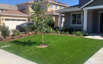Making Homes More Accessible with Artificial Grass for the Elderly and Mobility-Impaired