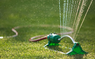 Why Artificial Grass is the Perfect Solution for Water Conservation