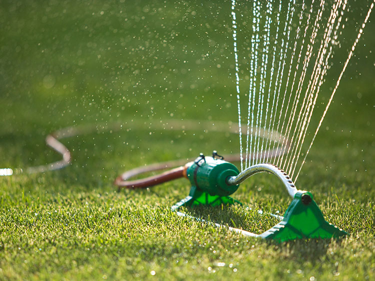 Why Artificial Grass is the Perfect Solution for Water Conservation
