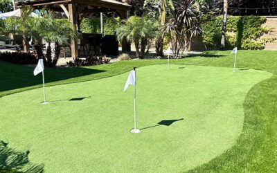 How Much Space Do You Need for a Backyard Putting Green?