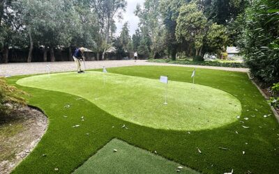 What Makes a Great Backyard Putting Green?