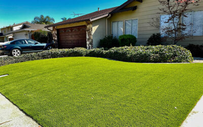 Fire Safety and Artificial Grass: What Homeowners Should Know