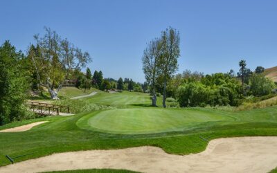 Incorporating Sand Traps into Your Backyard Putting Green