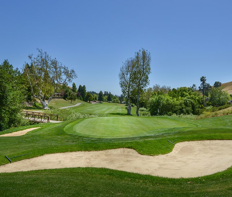 sand trap artificial grass