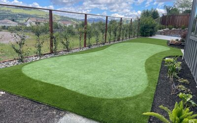 Can You Install a Backyard Putting Green Yourself?